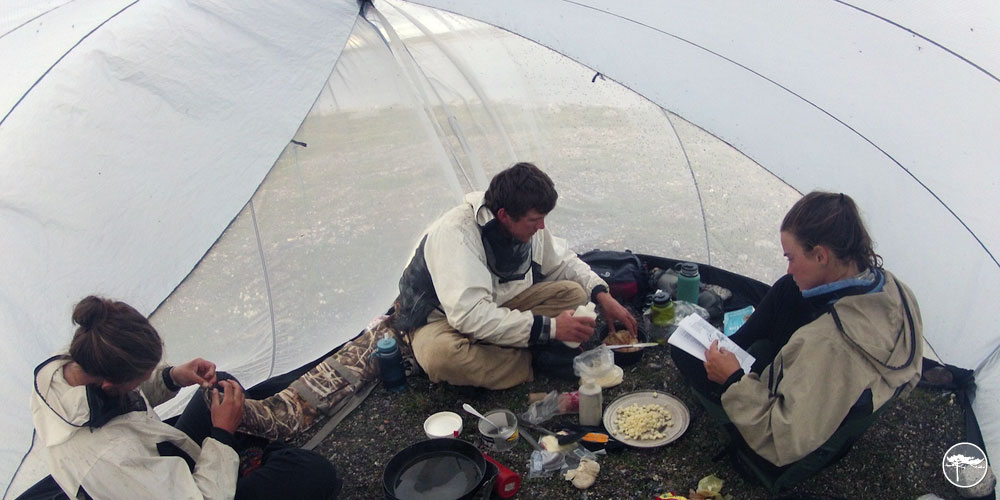 Bug Tent