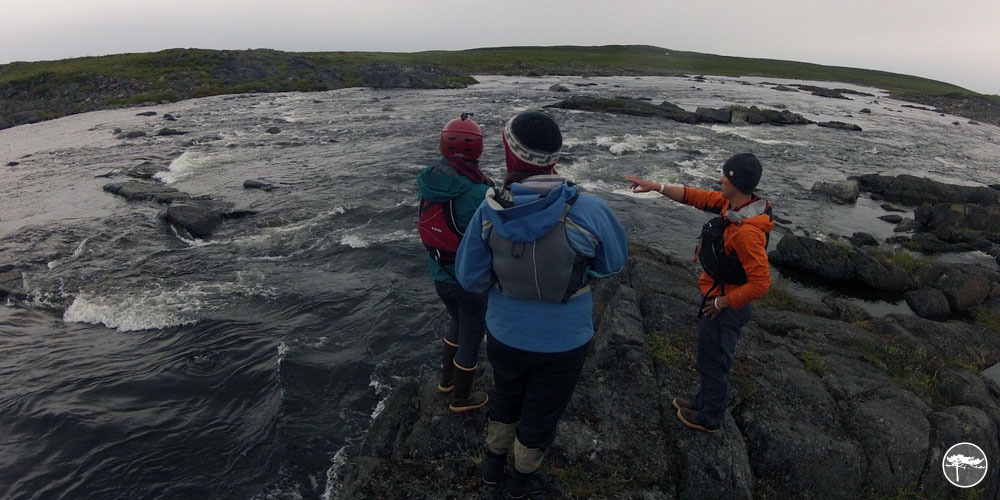 Musk Ox Rapids