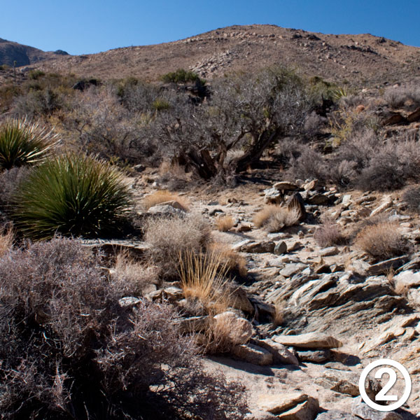 Johnny Lang Canyon hike photo #2