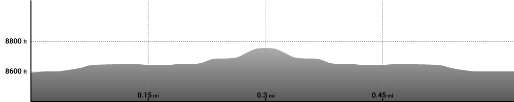 Alluvial Fan Hike Elevation Profile