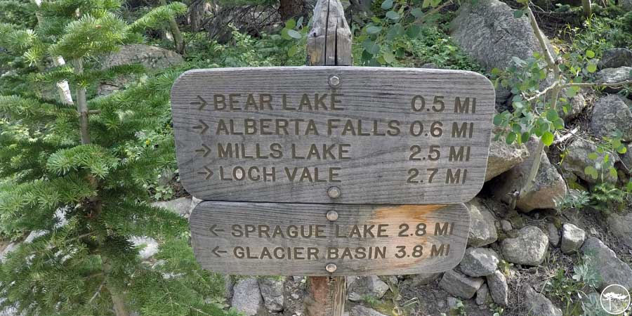 Glacier Basin Junction