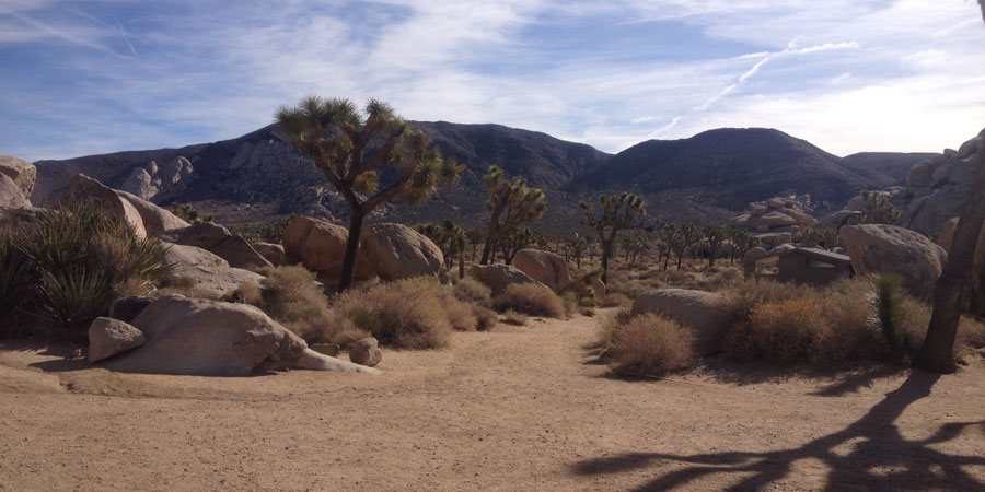 Cap Rock Nature Trail