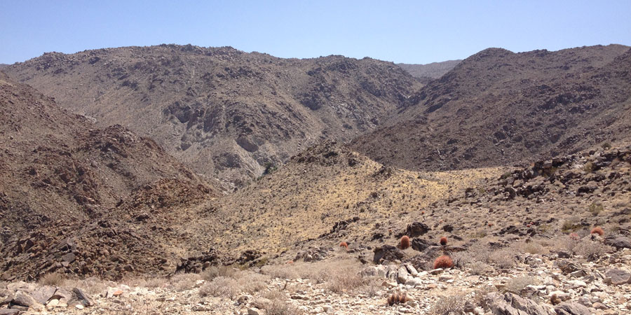 Overlook with Barrel Cactus