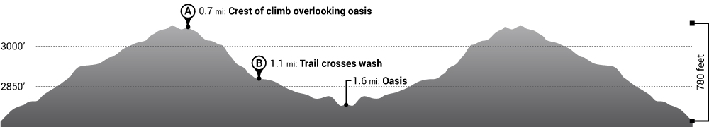 Hike 49 Palms Oasis Trail Elevation Profile