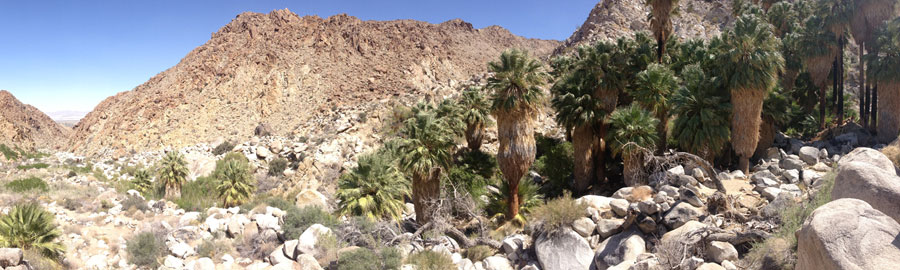 Panorama of Fortynine Palms Oasis