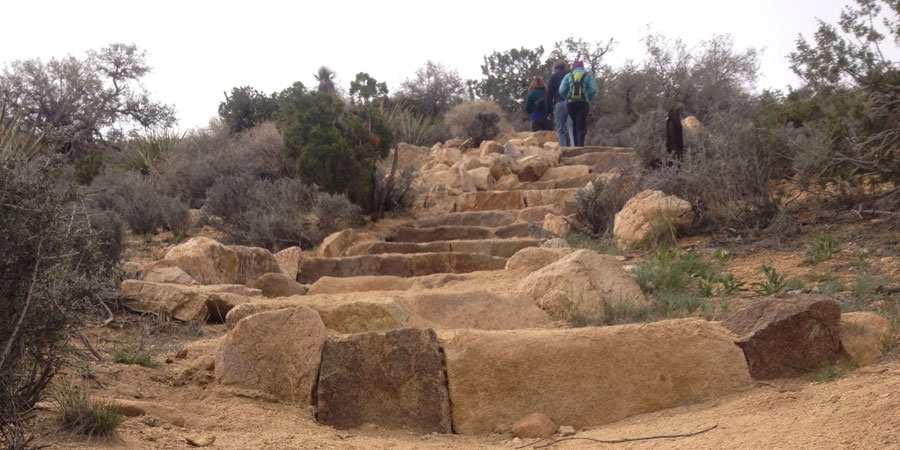 Steps on Hi-View Nature Trail