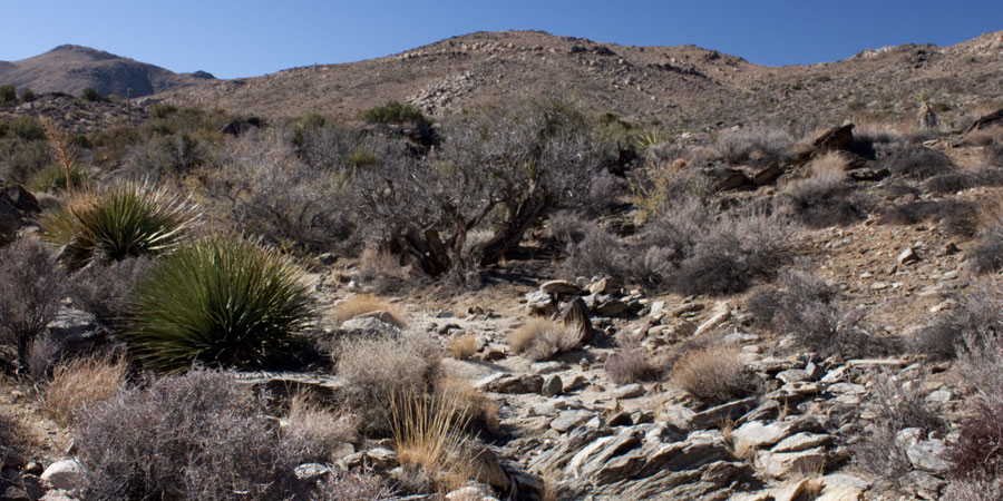 Cross country hiking