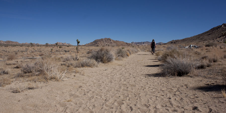 Quail Springs Trail