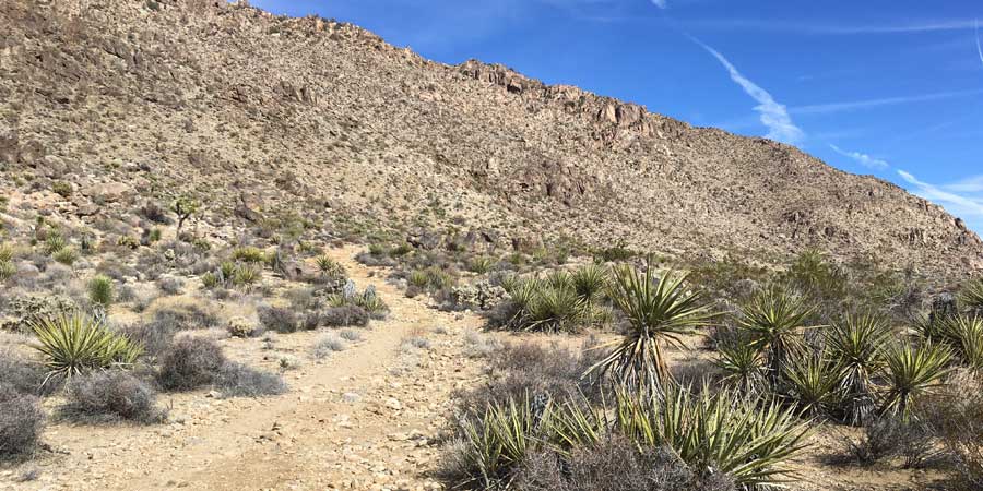 Ascending the flank of Queen Mountain