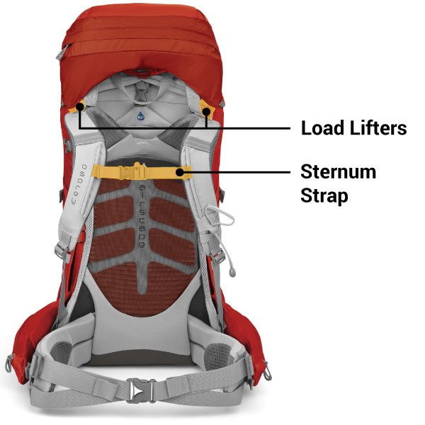 Sternum and Load Lifter Straps